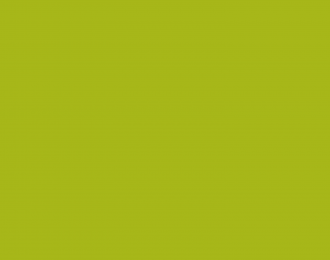 Scotch Dignissim Magna